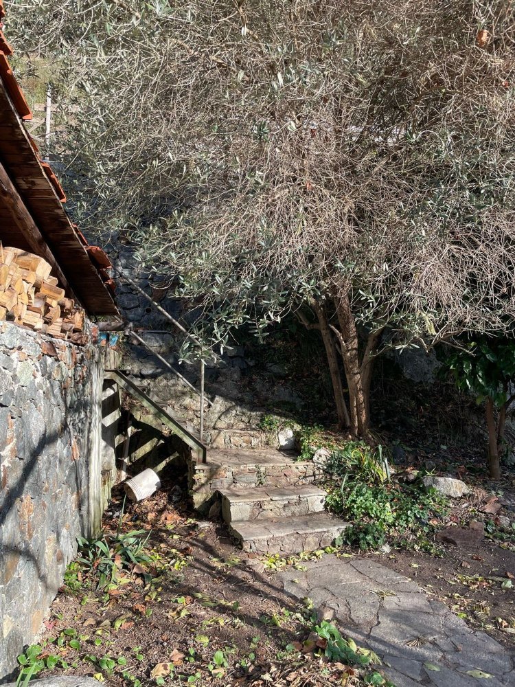 4 bedrooms House in Savona, Italy No. 334732