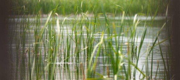 1336m² Land in Ebreichsdorf, Austria No. 160052 18