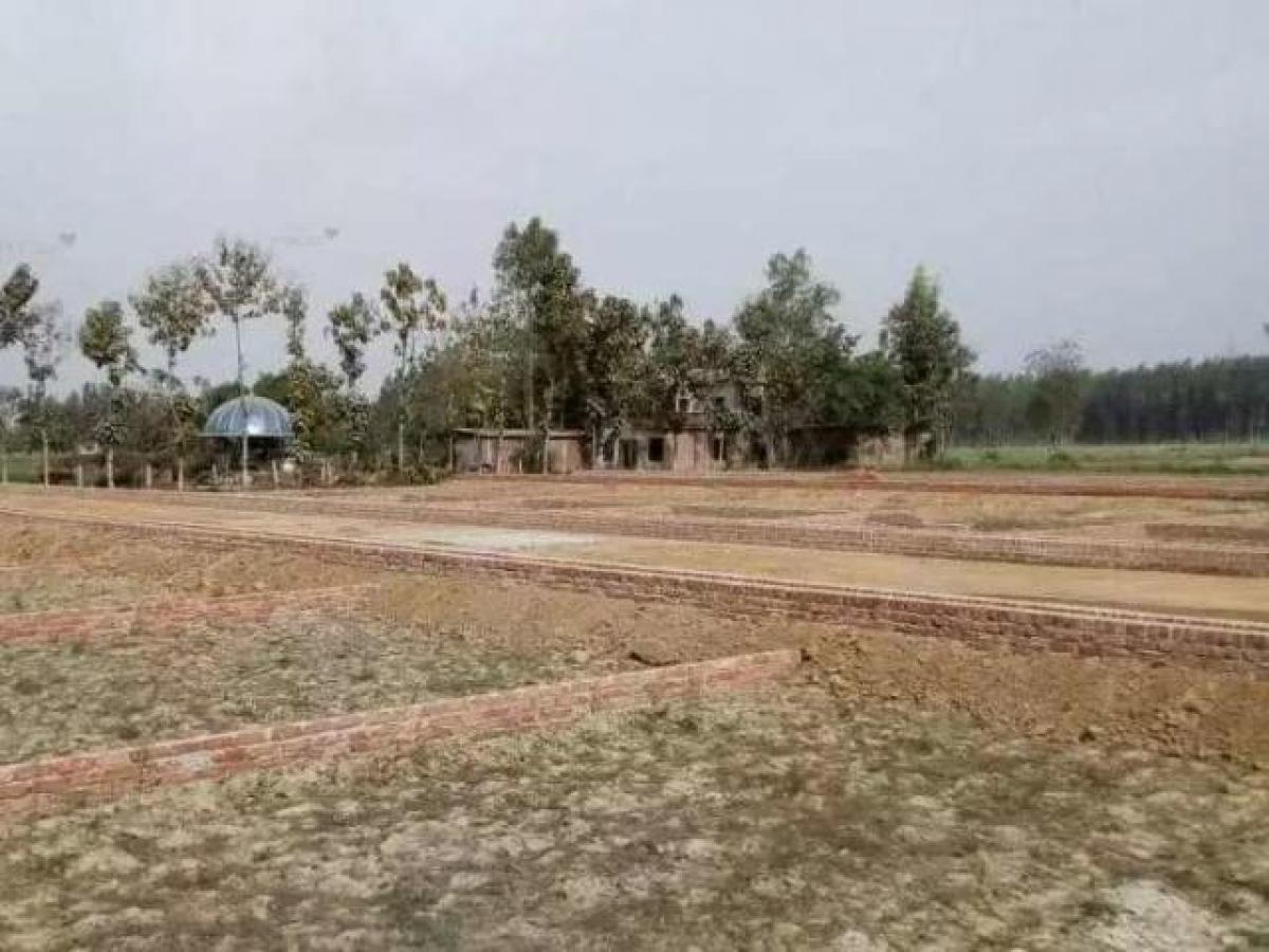 Terrain à Lucknow, India No. 29459