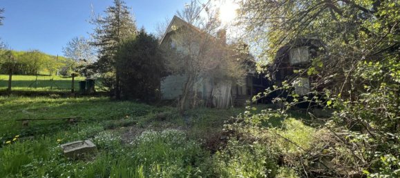  Land in Tullnerbach, Austria No. 126968 7