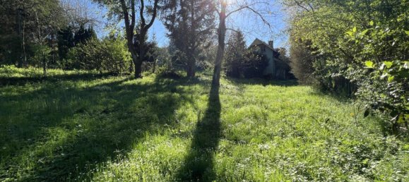  Land in Tullnerbach, Austria No. 126968 6