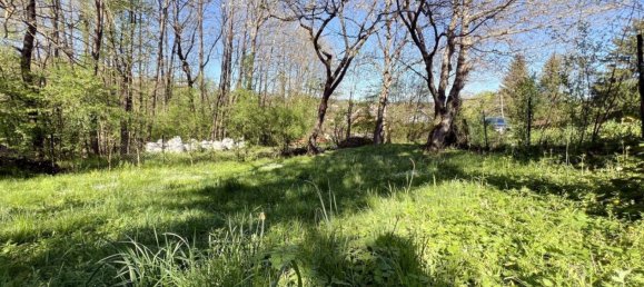  Land in Tullnerbach, Austria No. 126968 4