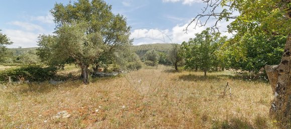 3 bedrooms House in Porto de Mos, Portugal No. 27108 28