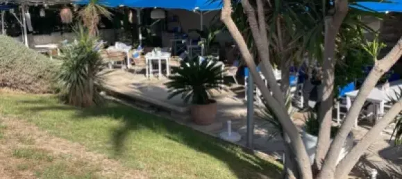 Коммерческая недвижимость 165м² в Пальма-де-Майорка, Испания № 170986 10