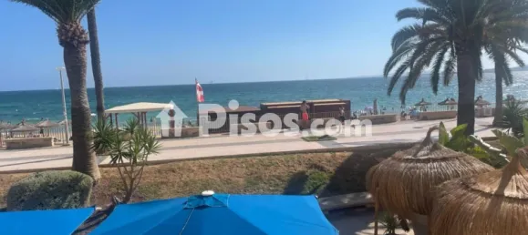 Коммерческая недвижимость 165м² в Пальма-де-Майорка, Испания № 170986 15