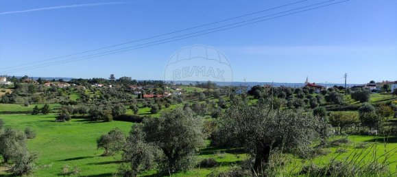 2 bedrooms House in Torres Novas, Portugal No. 17537 9