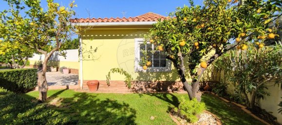 2 bedrooms House in Torres Novas, Portugal No. 17537 3