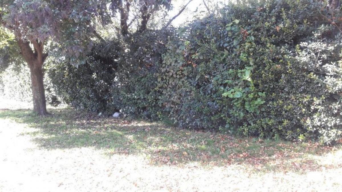  Land in Moreno, Argentina No. 35007