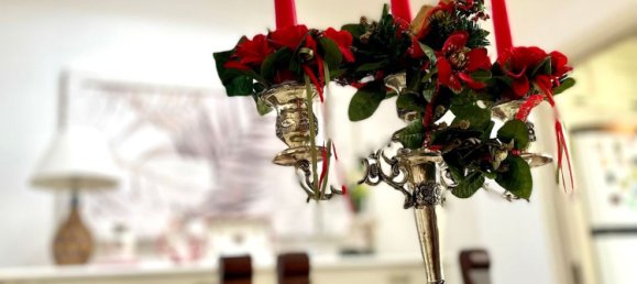 3 rooms House in Campi Salentina, Italy No. 255348 3