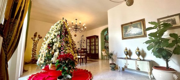 3 rooms House in Campi Salentina, Italy No. 255348 23