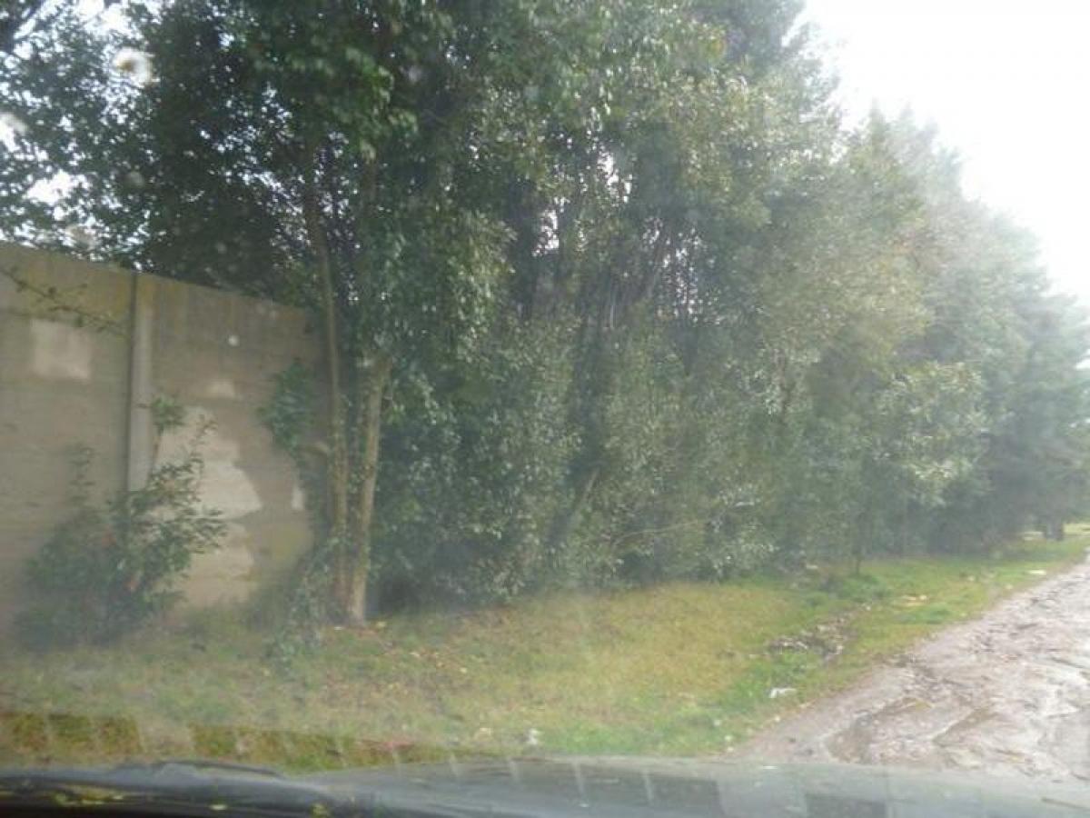  Land in Campo Creado, Argentina No. 34368