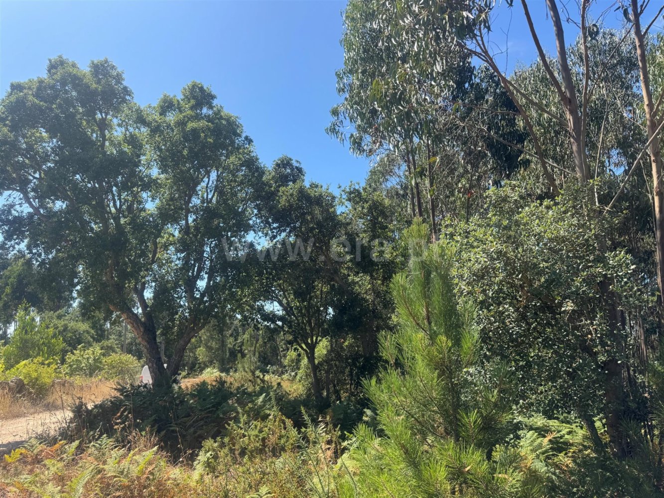  قطعة أرض في Mafra, Portugal رقم 192390