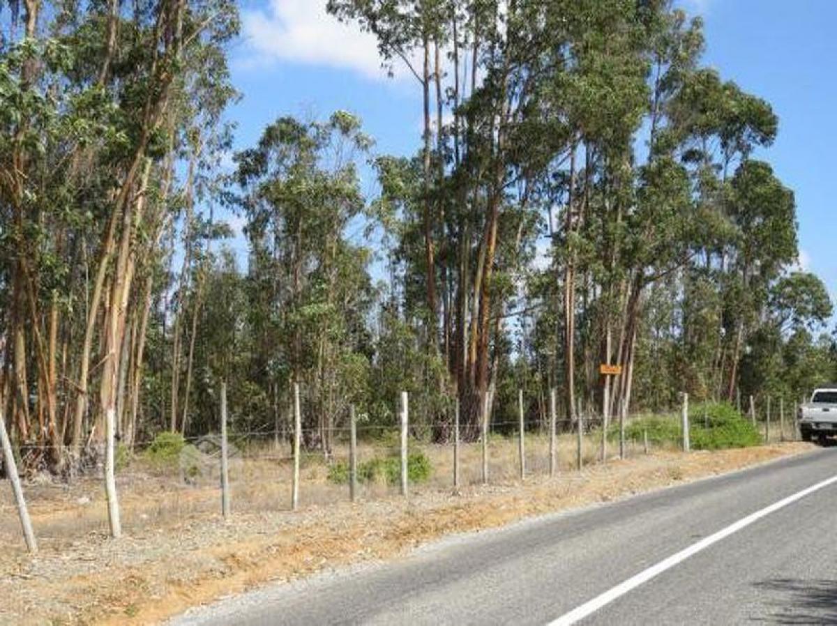 Grundstück in Valparaiso, Chile, Nr. 658
