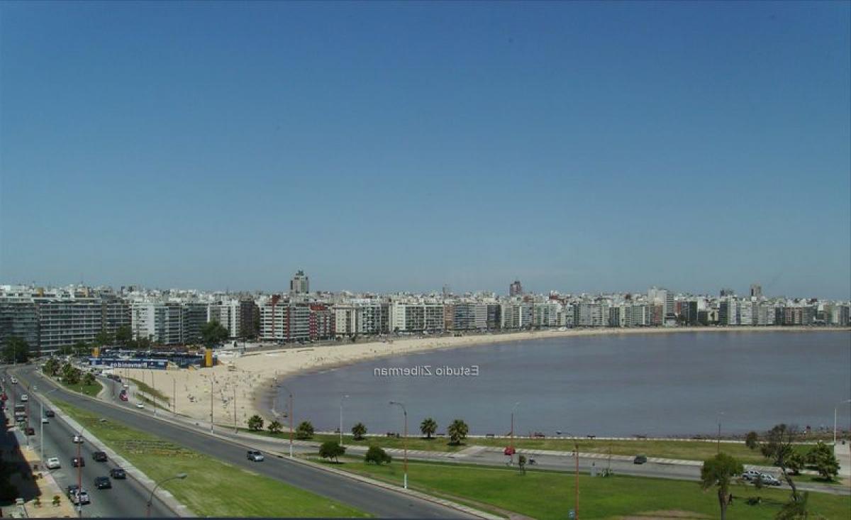 5 bedrooms Apartment in Montevideo, Uruguay No. 1216