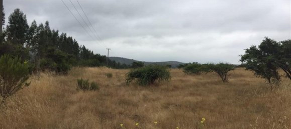  Land in Valparaiso, Chile No. 646 2