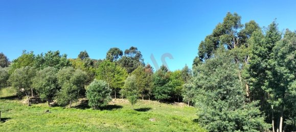  قطعة أرض في Santa Eulalia, Portugal 5362متر مربع رقم 41061 2