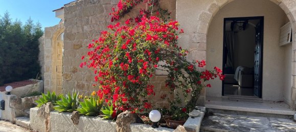 3 bedrooms House in Tala, Cyprus No. 9658 4