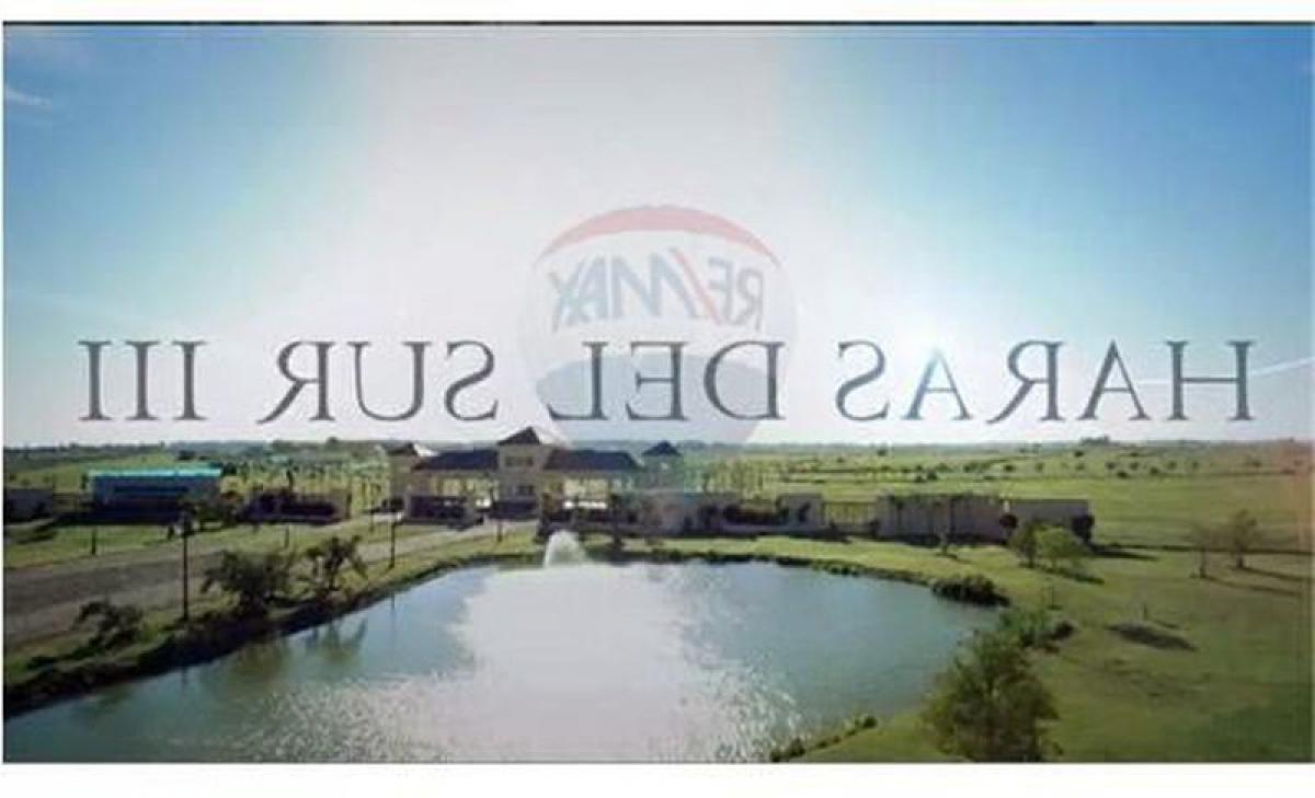  Land in Brandsen, Argentina No. 41891