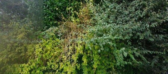 4 bedrooms Apartment in Vergiate, Italy No. 283512 21