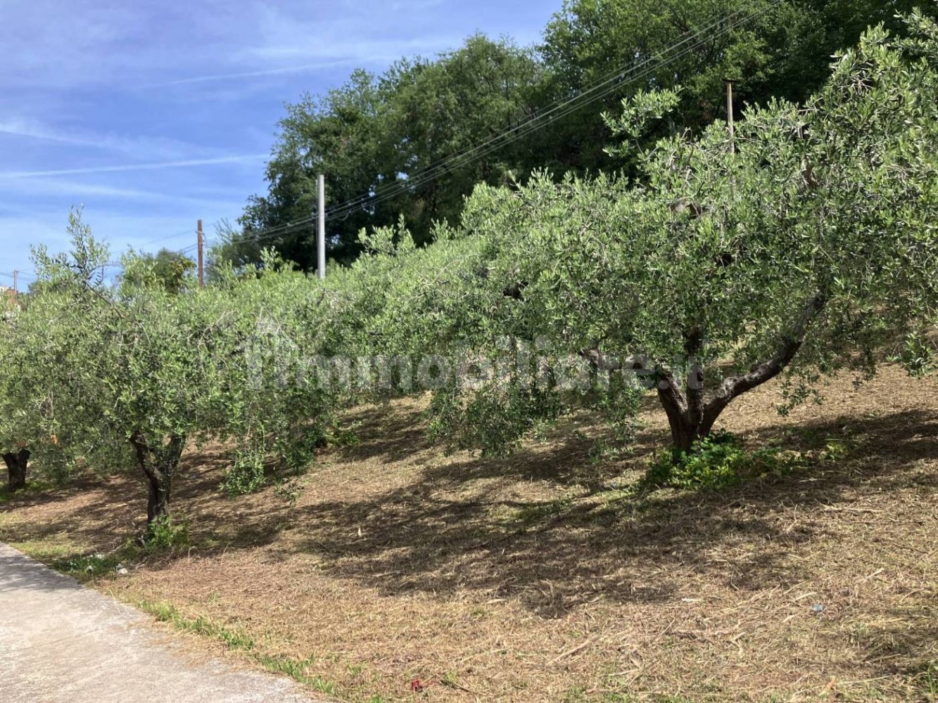 Grundstück in Vasto, Italy 2900m², Nr. 234786