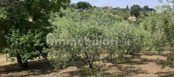 Grundstück in Vasto, Italy 2900m², Nr. 234786 4