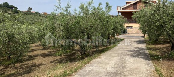 Grundstück in Vasto, Italy 2900m², Nr. 234786 3