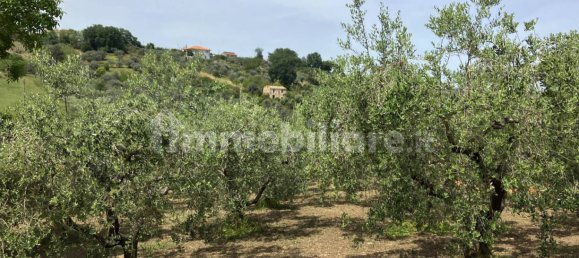 Grundstück in Vasto, Italy 2900m², Nr. 234786 5