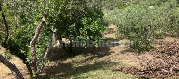 Grundstück in Vasto, Italy 2900m², Nr. 234786 12