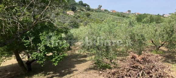 Grundstück in Vasto, Italy 2900m², Nr. 234786 11