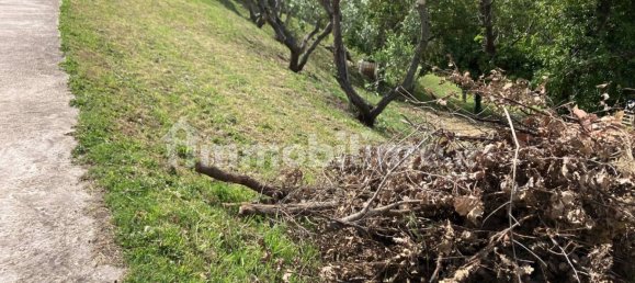 Grundstück in Vasto, Italy 2900m², Nr. 234786 8