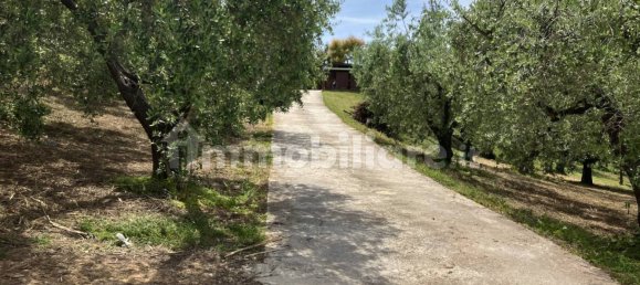 Grundstück in Vasto, Italy 2900m², Nr. 234786 9