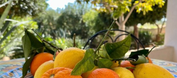 Вилла с 9 комнатами в Ното, Италия № 256964 5