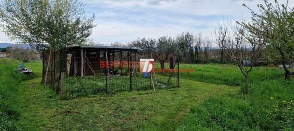 7 rooms Villa in Capannori, Italy No. 11009 50