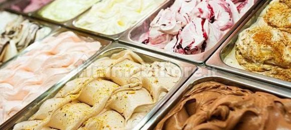 2 rooms Commercial property in Venice, Italy No. 61836 5