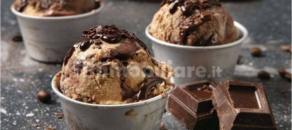 2 rooms Commercial property in Venice, Italy No. 61836 7