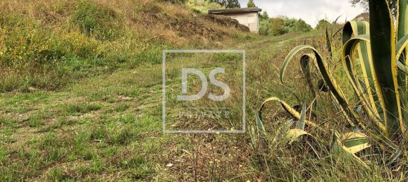 Casa de 2 dormitorios en Marco de Canaveses, Portugal No. 81979 26