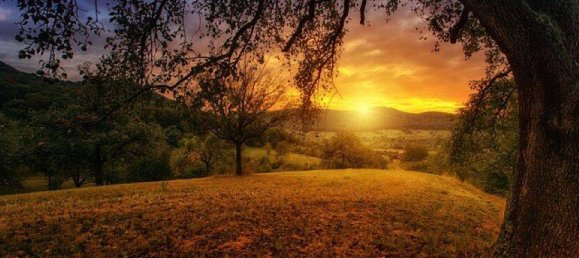  قطعة أرض في Hochtaunuskreis, Germany رقم 26758 2