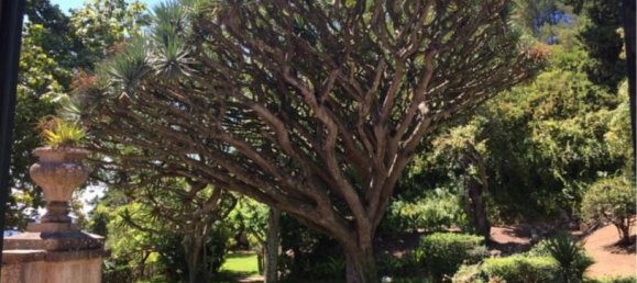 27 غرف نوم قلاع في Oeiras, Portugal رقم 106051 15