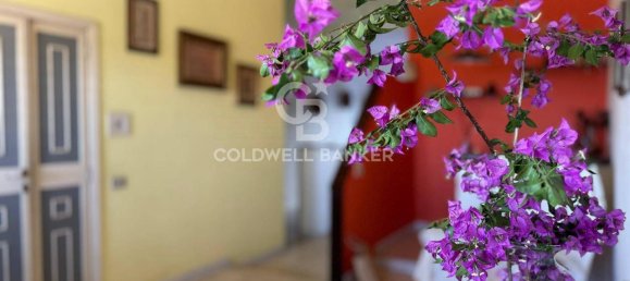 Квартира с 4 комнатами в Шикли, Италия № 36768 27