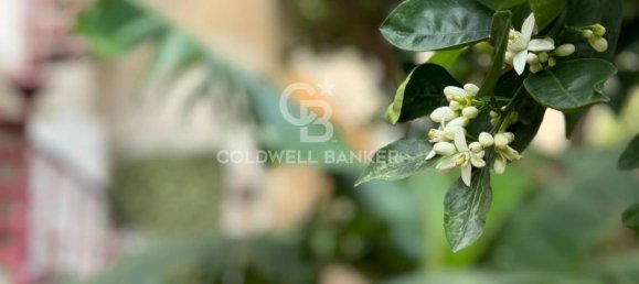 Квартира с 4 комнатами в Шикли, Италия № 36768 6