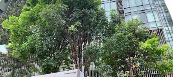 شقة 1 غرف نوم  في Wish Signature Midtown Siam Railay Beach, Thailand رقم 31149 4