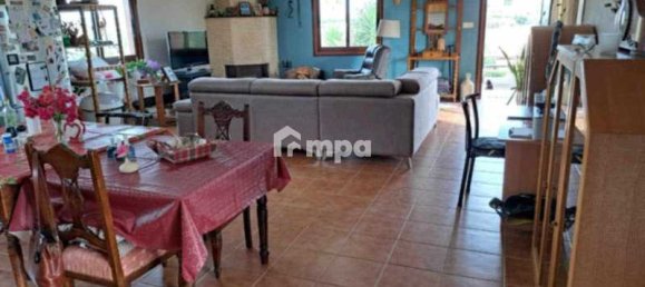 3 chambres Propriété commerciale à Agioi Trimithias, Cyprus No. 19794 7