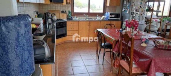 3 chambres Propriété commerciale à Agioi Trimithias, Cyprus No. 19794 8