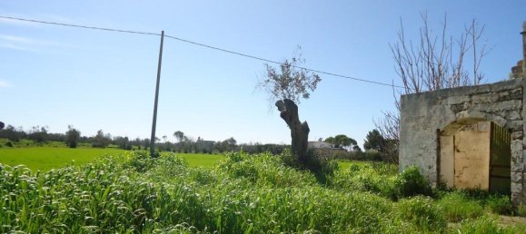 2 rooms House in Gallipoli, Italy No. 226626 6