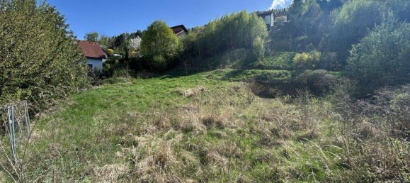 Land in Eggenberg, Austria No. 151573 2