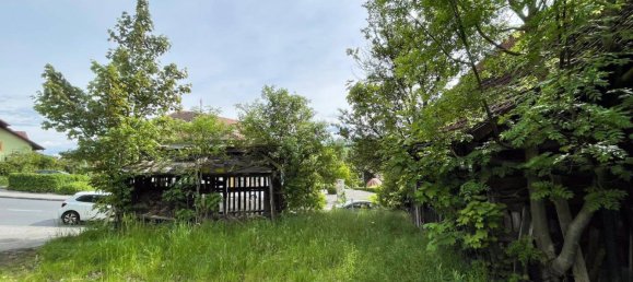 10 rooms House in Alkoven, Austria No. 29693 7