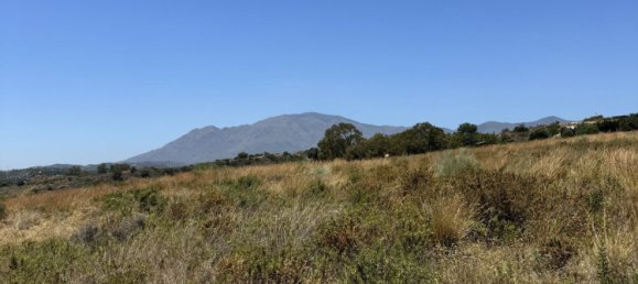 273m² Land in Estepona, Spain No. 101930 15