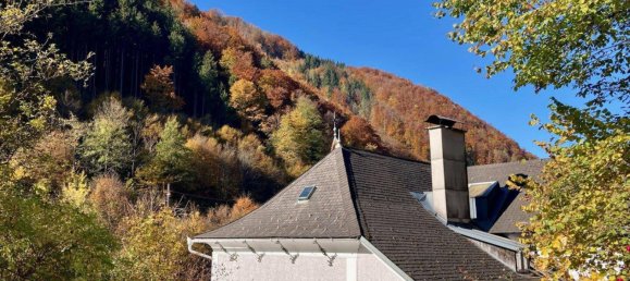 11غرفة فيلا في Waidhofen an der Ybbs, Austria رقم 258814 2