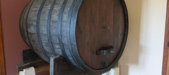 9 غرف نوم منزل في Cartaxo, Portugal رقم 111417 10