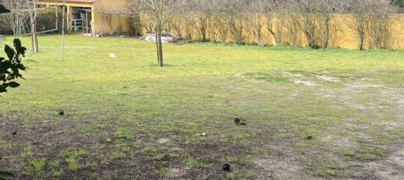 9 غرف نوم منزل في Cartaxo, Portugal رقم 111417 7